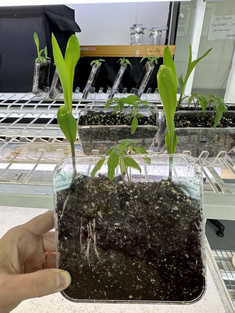 MJP Lab research