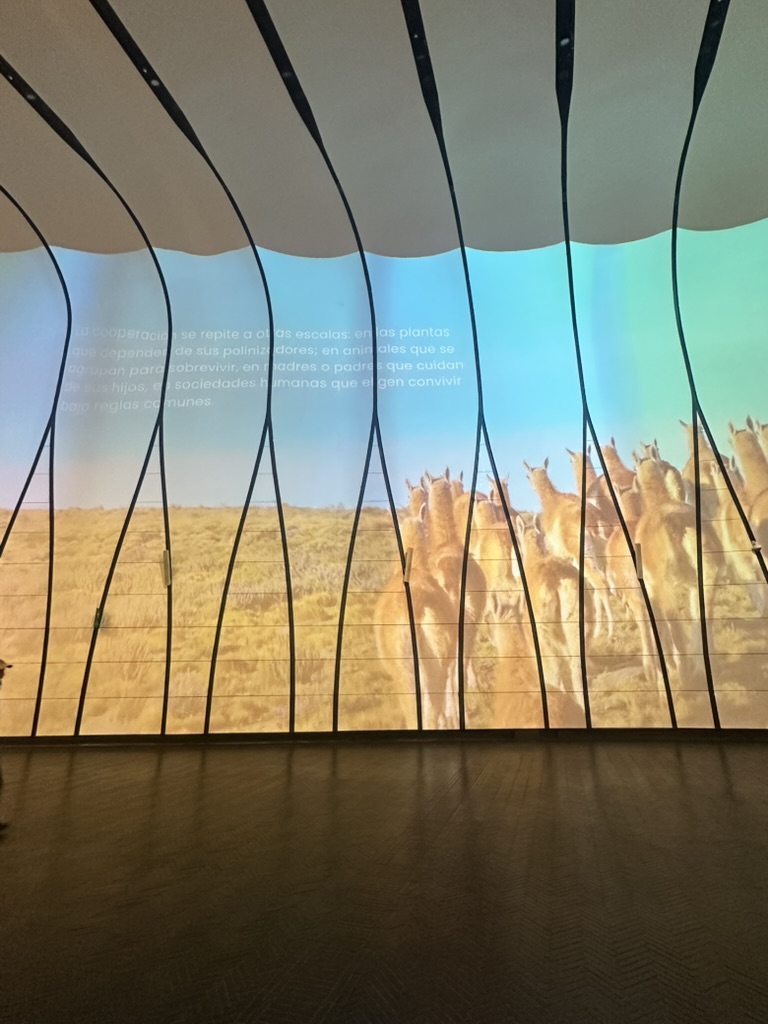 Immersive audiovisual installation at MUT