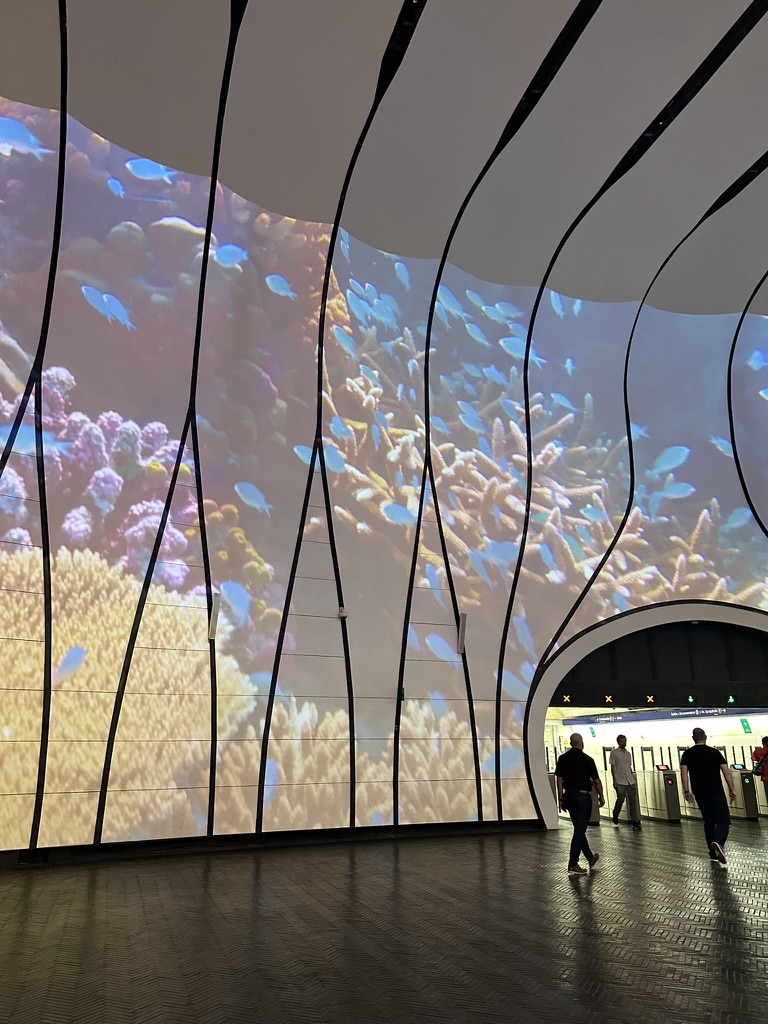 Immersive coral reef projection at MUT