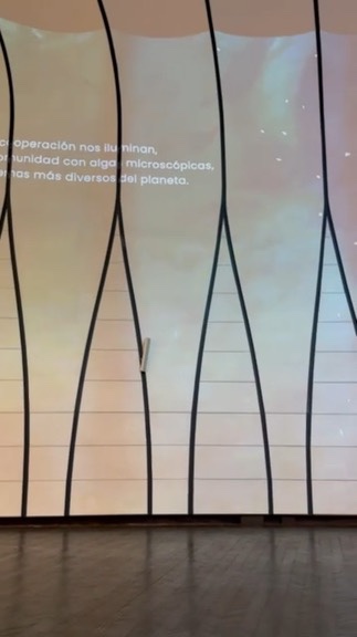 Immersive projection with text at MUT