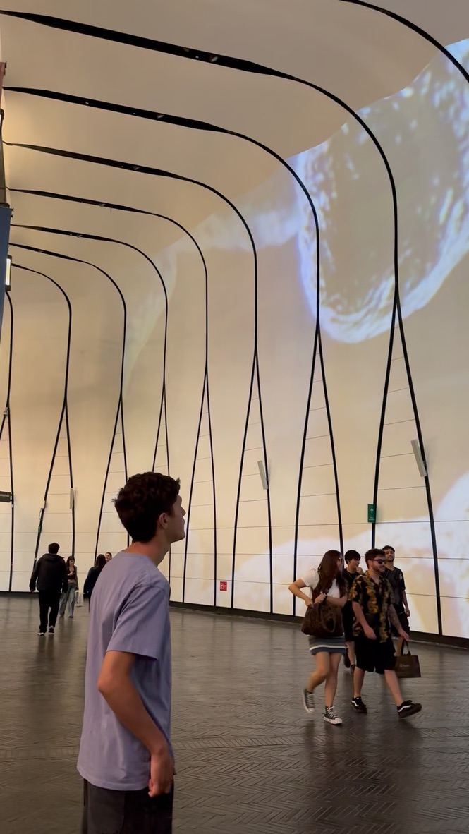 Visitors viewing an immersive audiovisual installation at MUT