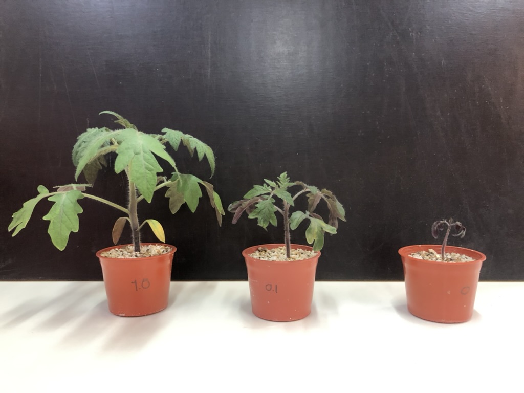 MJP Lab research
