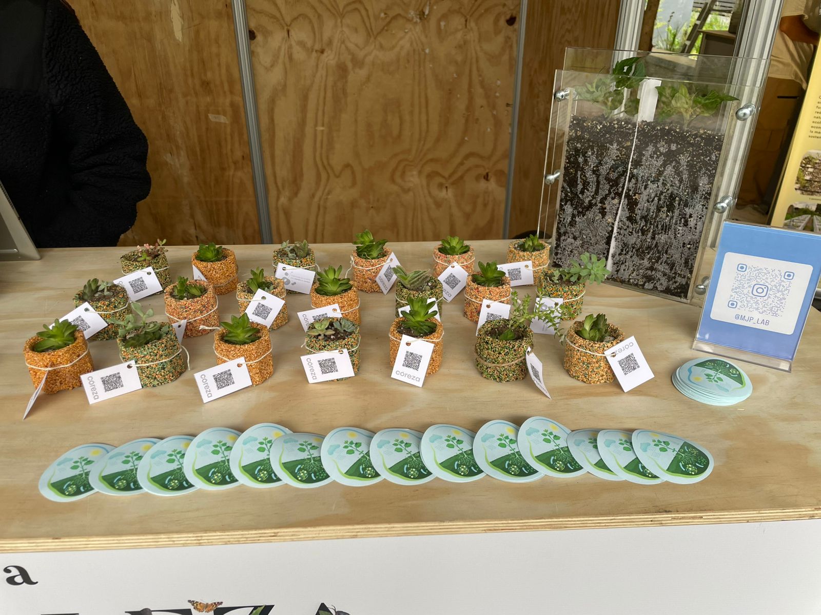 Plants and soil outreach materials at Territorios con Memoria