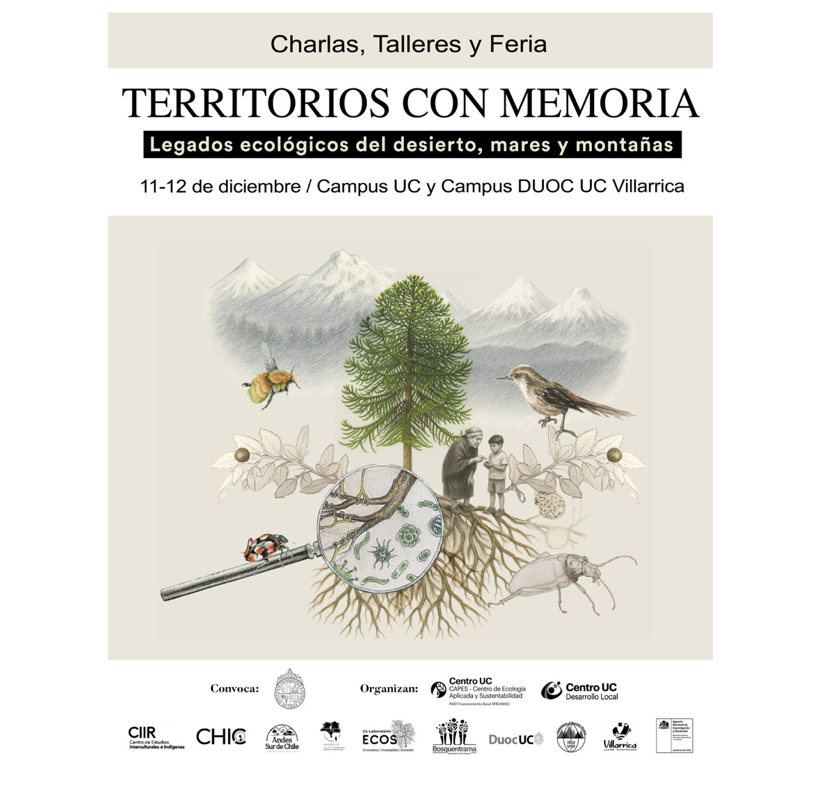 Poster for Territorios con Memoria, 11–12 December in Villarrica